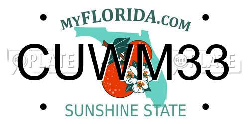 CUWM33 Florida License Plate