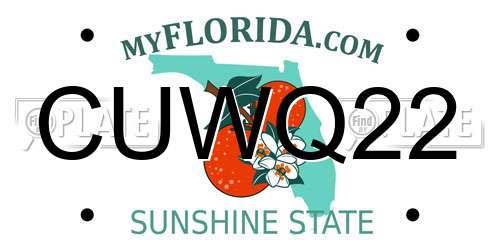 CUWQ22 Florida License Plate