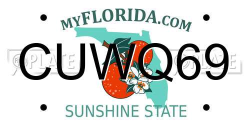CUWQ69 Florida License Plate