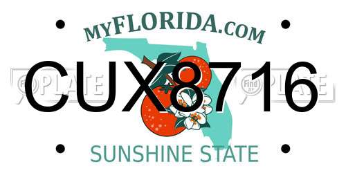 CUX8716 Florida License Plate