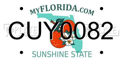 CUY0082 Florida License Plate