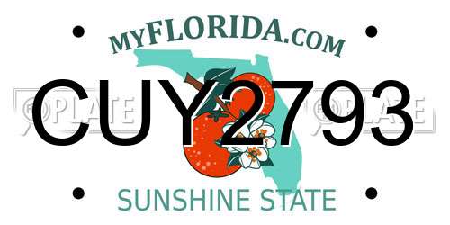 CUY2793 Florida License Plate
