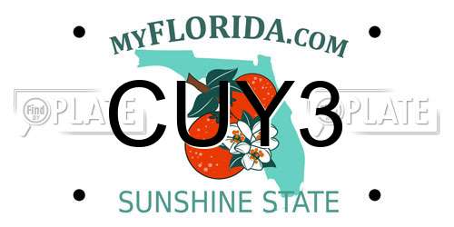 CUY3 Florida License Plate