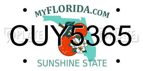 CUY5365 Florida License Plate