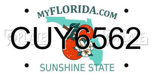 CUY6562 Florida License Plate