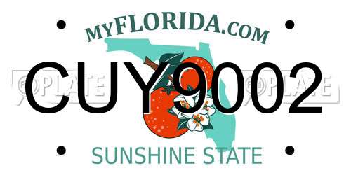 CUY9002 Florida License Plate