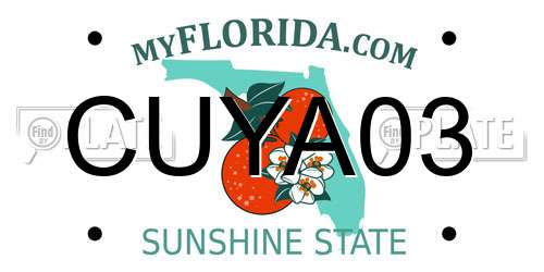 CUYA03 Florida License Plate