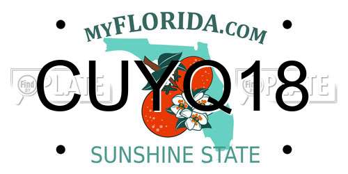 CUYQ18 Florida License Plate