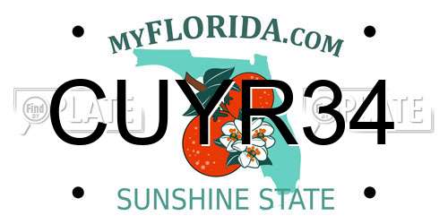 CUYR34 Florida License Plate