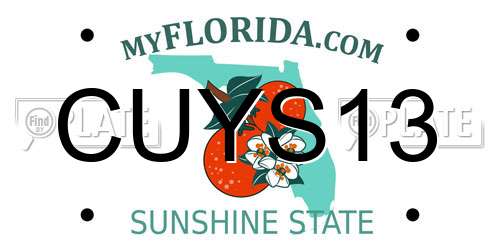 CUYS13 Florida License Plate