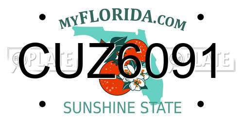 CUZ6091 Florida License Plate