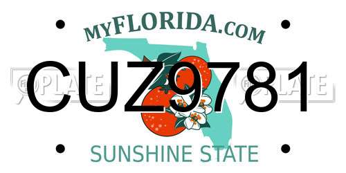 CUZ9781 Florida License Plate