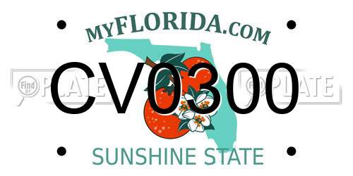 CV0300 Florida License Plate