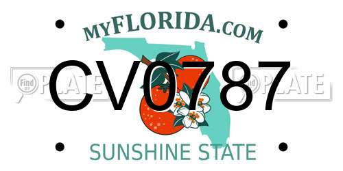 CV0787 Florida License Plate