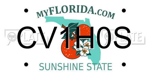 CV1H0S Florida License Plate