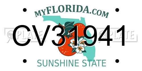 CV31941 Florida License Plate