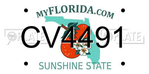 CV4491 Florida License Plate