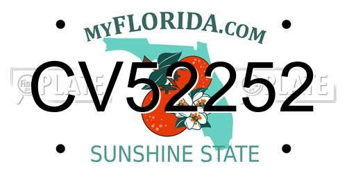 CV52252 Florida License Plate