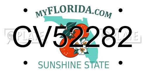 CV52282 Florida License Plate