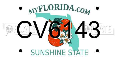 CV6143 Florida License Plate
