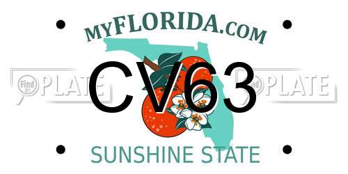 CV63 Florida License Plate