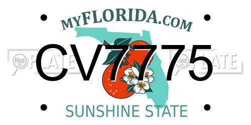 CV7775 Florida License Plate