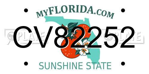 CV82252 Florida License Plate