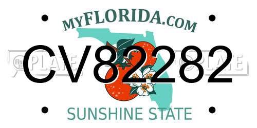 CV82282 Florida License Plate