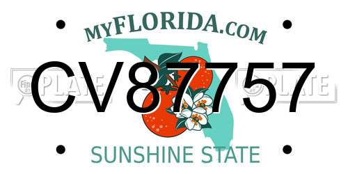CV87757 Florida License Plate