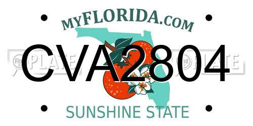 CVA2804 Florida License Plate