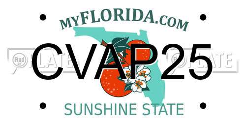 CVAP25 Florida License Plate