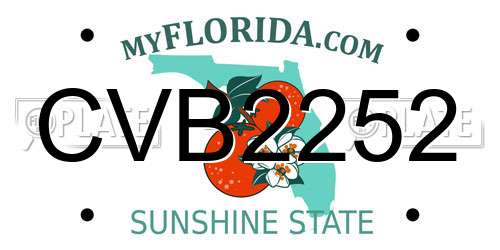 CVB2252 Florida License Plate