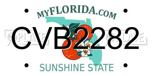CVB2282 Florida License Plate