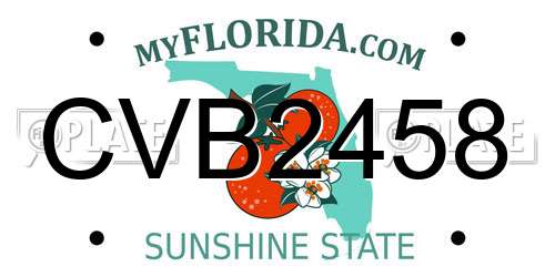 CVB2458 Florida License Plate