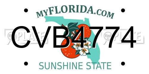 CVB4774 Florida License Plate