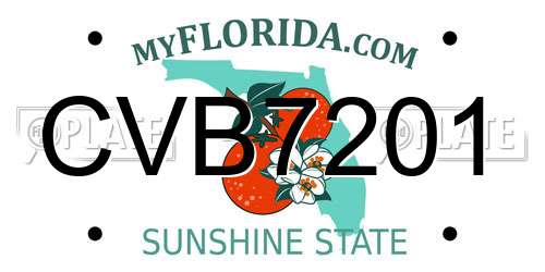 CVB7201 Florida License Plate
