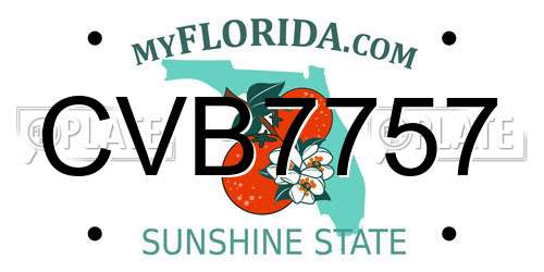 CVB7757 Florida License Plate