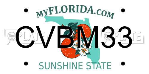 CVBM33 Florida License Plate