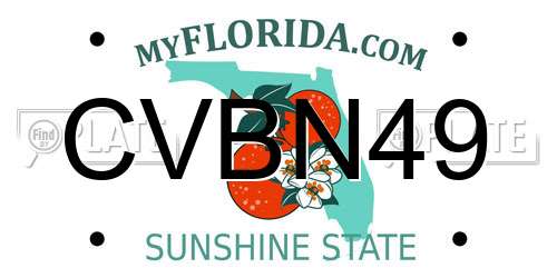 CVBN49 Florida License Plate