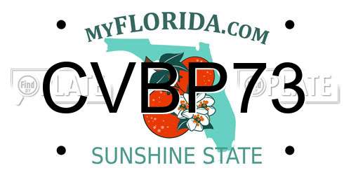 CVBP73 Florida License Plate