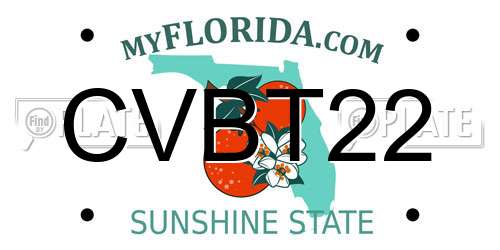 CVBT22 Florida License Plate
