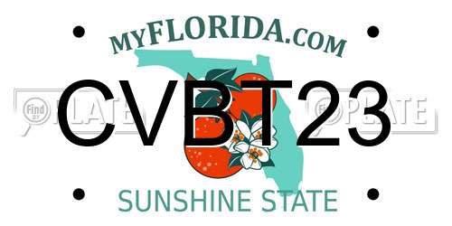 CVBT23 Florida License Plate
