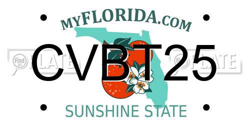 CVBT25 Florida License Plate