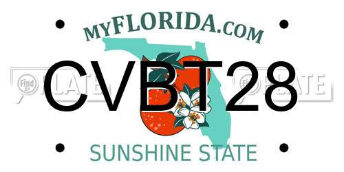 CVBT28 Florida License Plate