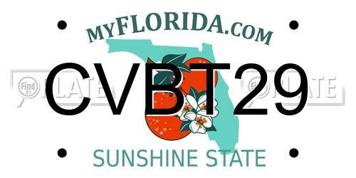 CVBT29 Florida License Plate