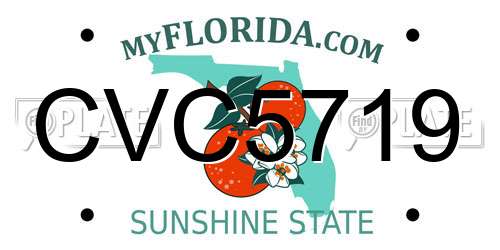 CVC5719 Florida License Plate