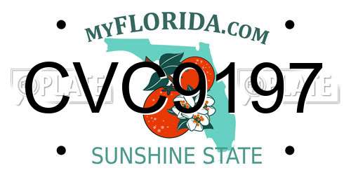 CVC9197 Florida License Plate