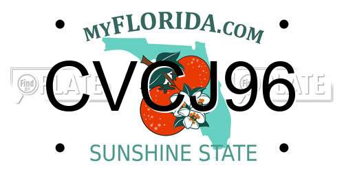 CVCJ96 Florida License Plate
