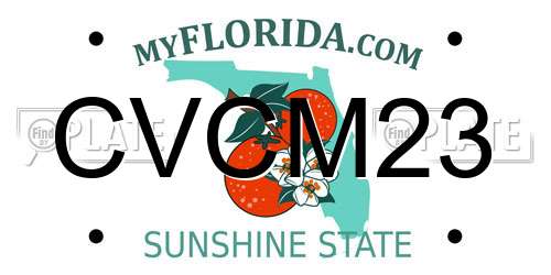 CVCM23 Florida License Plate