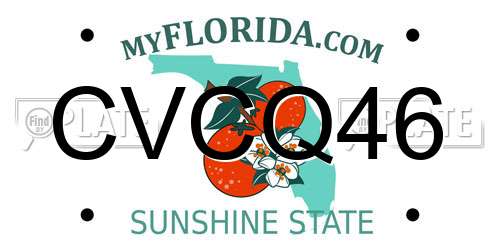 CVCQ46 Florida License Plate